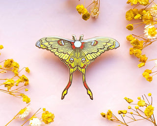 Comet Moth (Argema mittrei) Enamel Pin