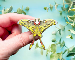 Comet Moth (Argema mittrei) Enamel Pin