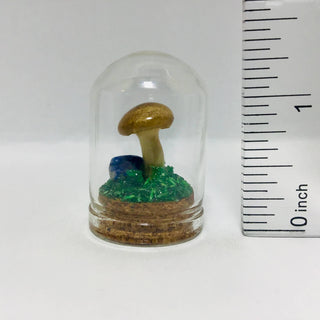 Mushroom Curiosity Jar - Real Fungi Curio 1.25"