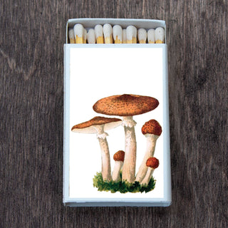 Mushroom Cluster Matchbox