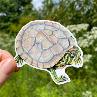 Baby River Cooter Turtle Weatherproof Vinyl Sticker