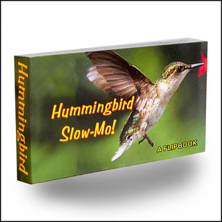 Hummingbird Slow Motion Flipbook