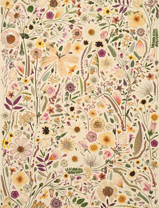 Beautiful Blooms Wrapping Paper Book: Trade Paperback