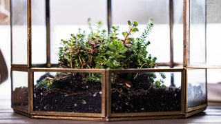 Bronze Birdcage Glass Terrarium