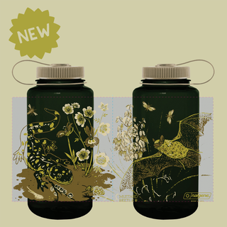 Vernal Creatures Water Bottle Bats Salamander Night Blooming