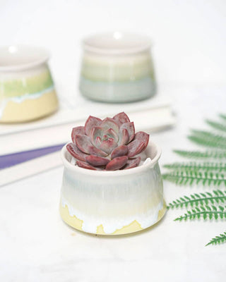 Small Glazed Pot