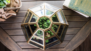 Bronze Birdcage Glass Terrarium