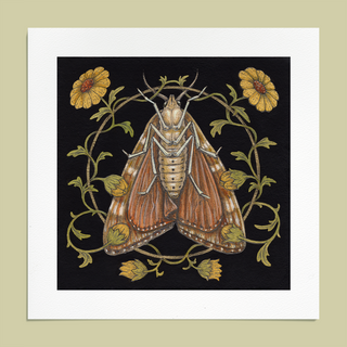 Moth Giclee Print (6x6)