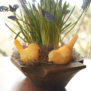Song Bird Candles – 100% Pure Beeswax – Hand-Crafted: Upright