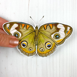 Common Buckeye Butterfly Vinyl Sticker