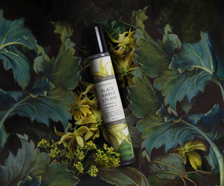 Black Amber + Ylang | Perfume Oil