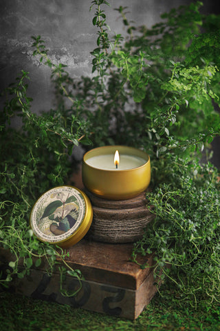 Santal + Hinoki | 8oz Candle