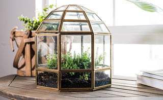 Bronze Birdcage Glass Terrarium