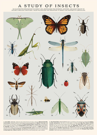 Insects Puzzle – 500Pc Tube