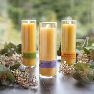 Candle Refills – Beeswax Aromatherapy – Sanctuary Glass: Beeswax (100% Pure Beeswax)