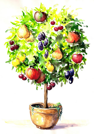 Orchard Buds Jar- Prickly Pear, Plum, Passion Fruit, and Apple 7.3 OZ
