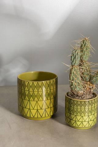 Green Geo Pot