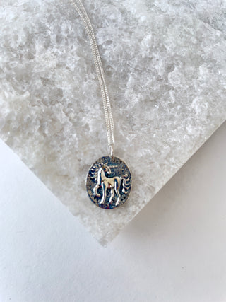 Sterling Unicorn Coin Pendant Necklace