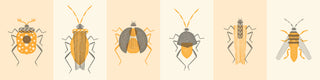 Stamp Bugs