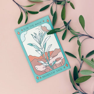 Broadleaf Sage Tarot Garden Seeds