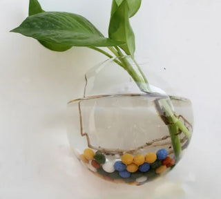 Hanging Glass Terrarium