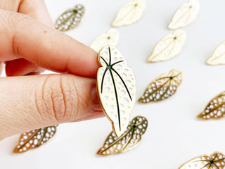 Begonia Maculata Leaf Lapel Pin