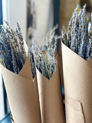 French Lavender Bundles