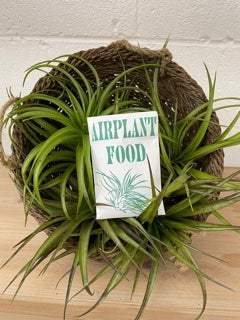 Air Plant Food