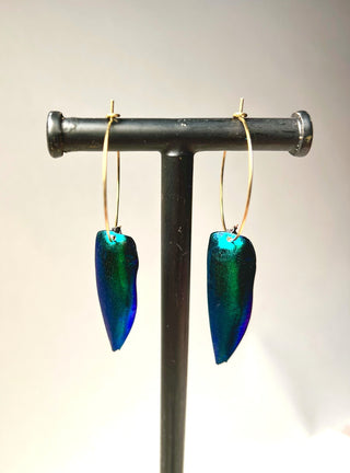 Beetle Wing Earrings