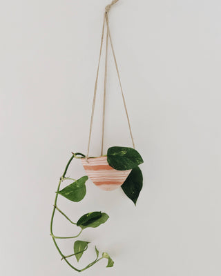 Horizon Variations Hanging Planter in Pink & Terracotta