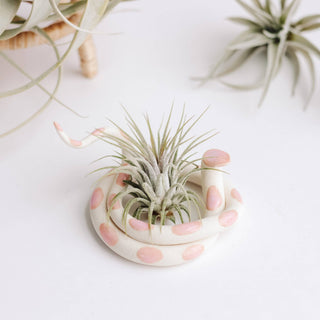 Medium Ceramic Snake - Sofie